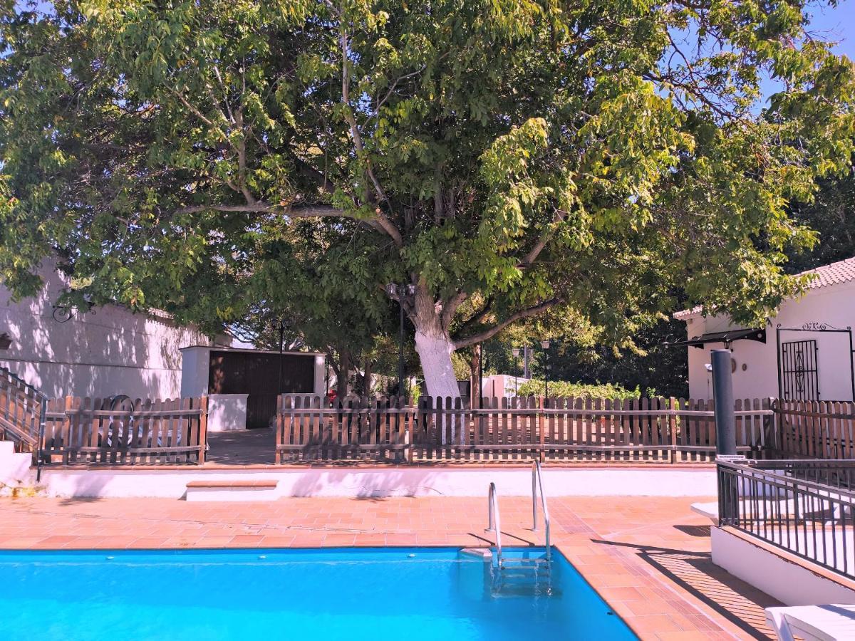 Complejo Apartamentos Rurales Molino De Abajo Ribera Baja  Ngoại thất bức ảnh
